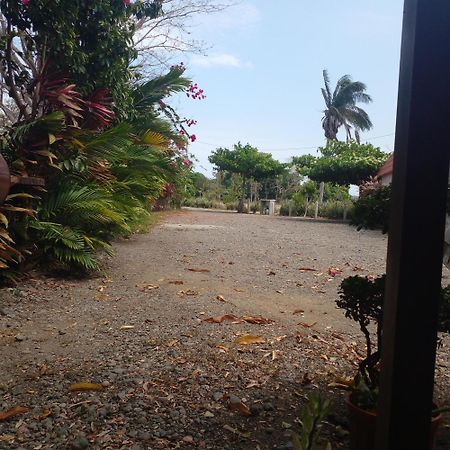 Cabanas Martina Surf Playa Guanico Pedregal ภายนอก รูปภาพ