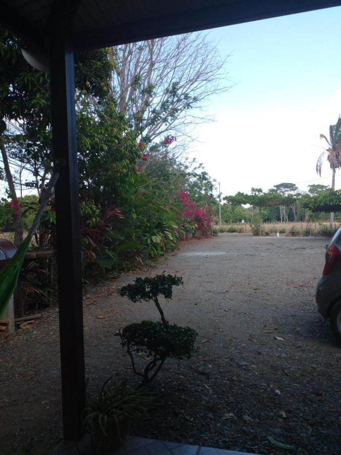 Cabanas Martina Surf Playa Guanico Pedregal ภายนอก รูปภาพ
