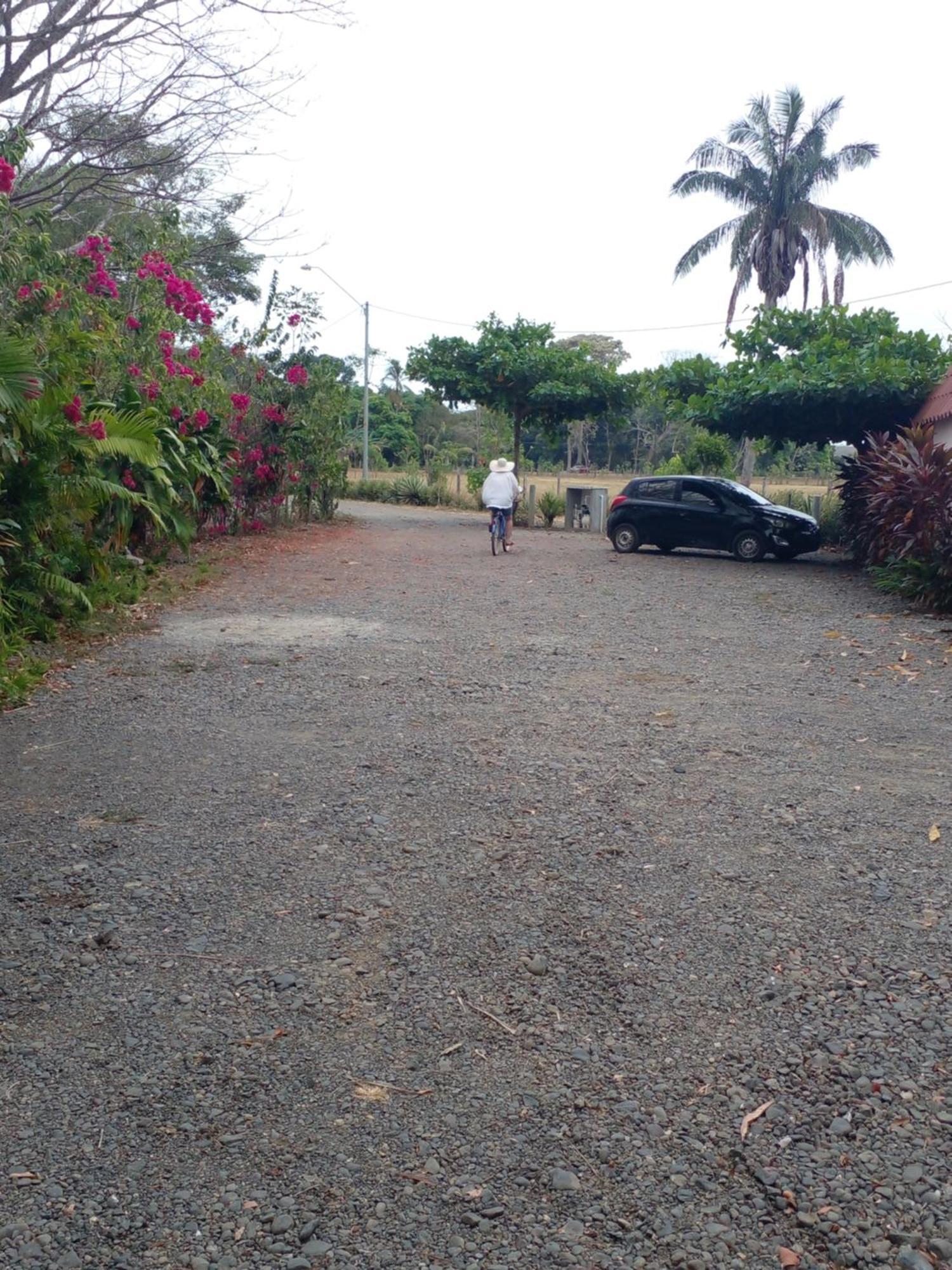 Cabanas Martina Surf Playa Guanico Pedregal ภายนอก รูปภาพ
