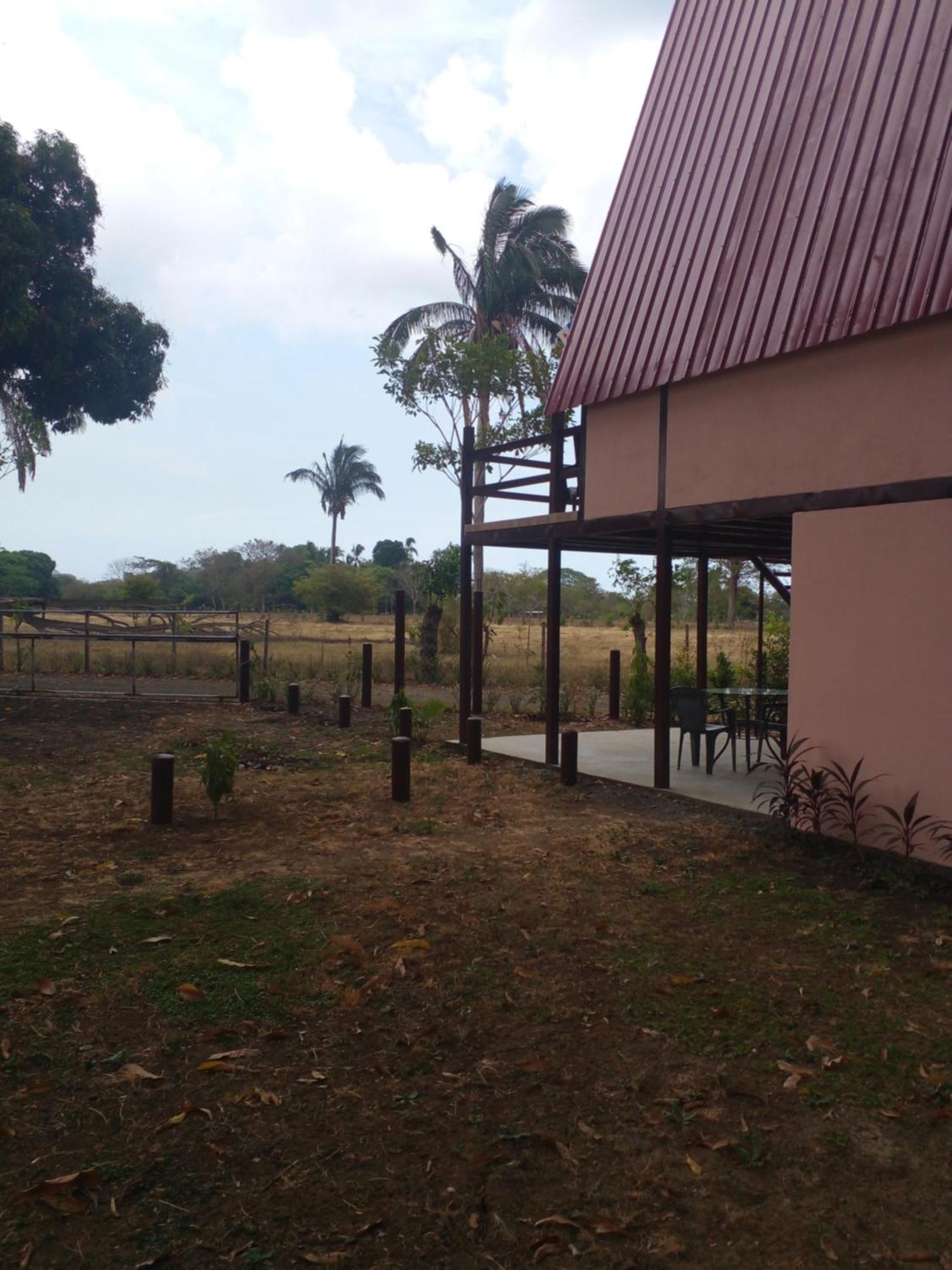 Cabanas Martina Surf Playa Guanico Pedregal ภายนอก รูปภาพ